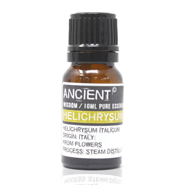 Helichrysum