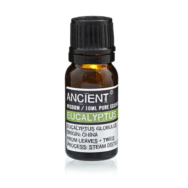 Eucalyptus