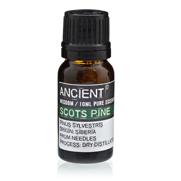 Den (Pine Sylvestris)