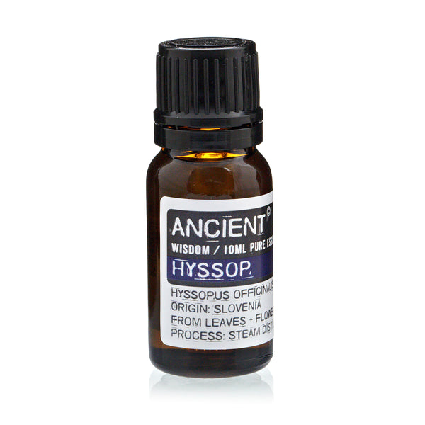 Hysop